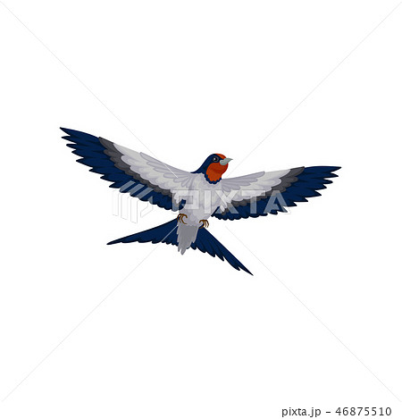 Flying swallow bird with red plumage around the beak and dark blue wings vector Illustration on a 46875510