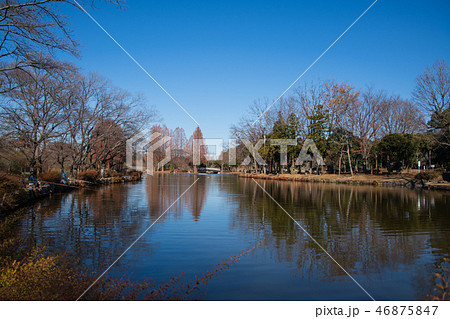 上尾丸山公園　冬景色　上尾市 46875847