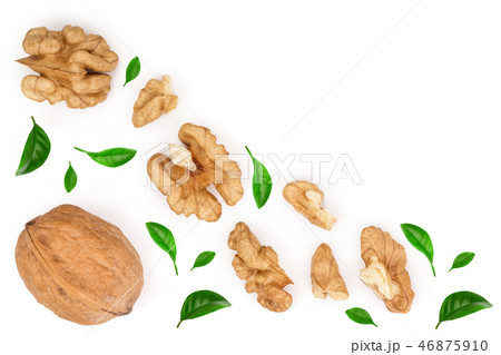 peelled Walnuts isolated on white background with copy space for your text. Top view. Flat lay peelled Walnuts isolated on white background with copy space for your text. Top view. Flat lay 46875910