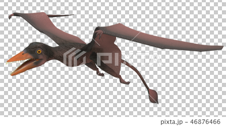翼竜：ソルデス 46876466