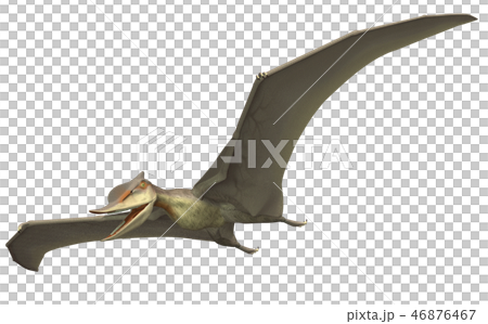 翼竜：ズンガリプテルス 46876467