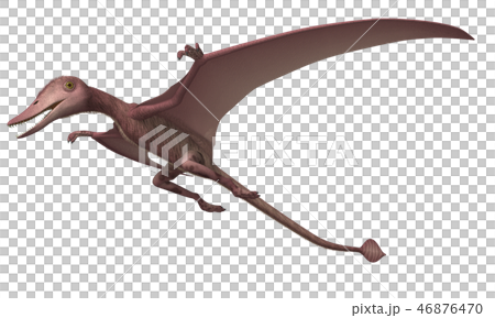 翼龍:Campirogoniatoides 翼龍:Campirogoniatoides 46876470