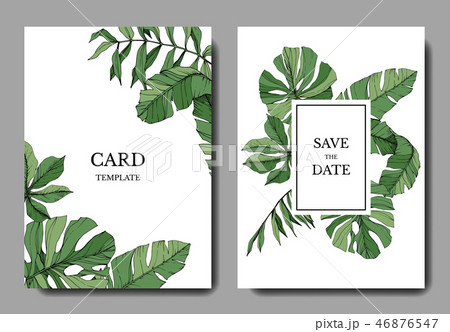 Vector Green leaf plant. Engraved ink art. Palm beach tree leaves. Wedding background card floral Vector Green leaf plant. Engraved ink art. Palm beach tree leaves. Wedding background card floral 46876547