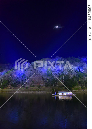 嵐山花灯路　大堰川（桂川） 46876863