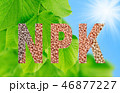 NPK letters made of fertilizers on leaves backgrou 46877227