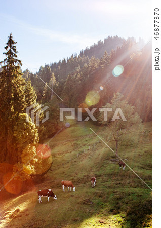 Marbachegg valley biosphere reserve of Entlebuch Marbachegg valley biosphere reserve of Entlebuch 46877370