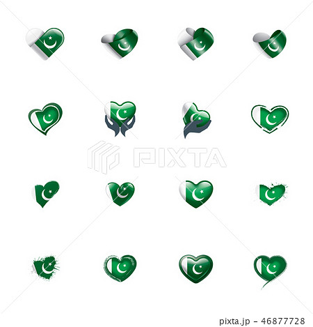 Pakistan flag, vector illustration on a white background 46877728