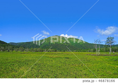 尾瀬の風景(6月) 尾瀬の風景(6月) 46878166