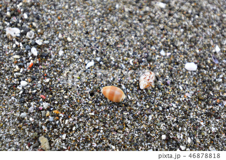 西伊豆 堂ヶ島海岸 西伊豆 堂ヶ島海岸 46878818