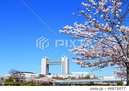 春の名古屋市　都市風景 46879077
