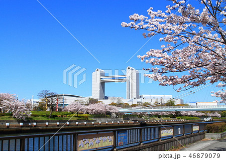 春の名古屋市　都市風景 46879079
