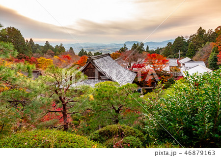 夕刻の百濟寺紅葉 46879163