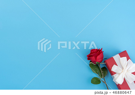 ギフト 贈答品 贈り物 46880647