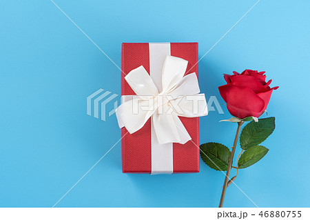 ギフト 贈答品 贈り物 46880755