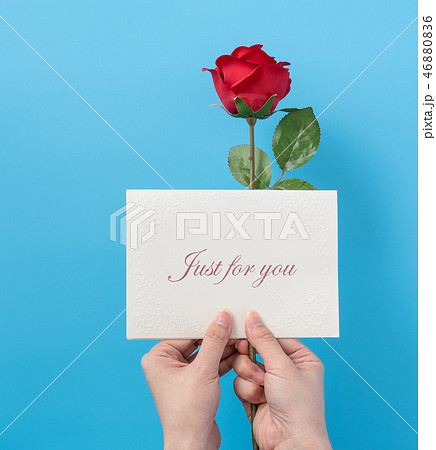 薔薇 バラ科 バラ 46880836