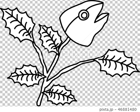 鰯柊 飾り 節分 豆まき 和風 イラスト かわいいのイラスト素材 46881480 Pixta