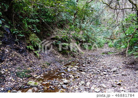 三浦アルプス　森戸川 46881784