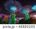 Garden by the bay 46883205