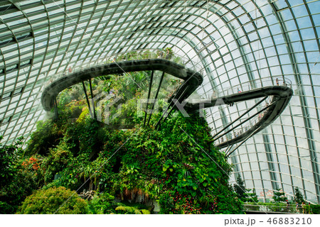 クラウドフォレスト クラウドフォレスト 46883210