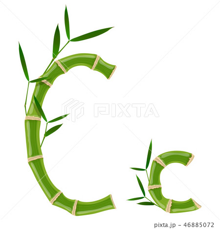 Bamboo letter C 46885072