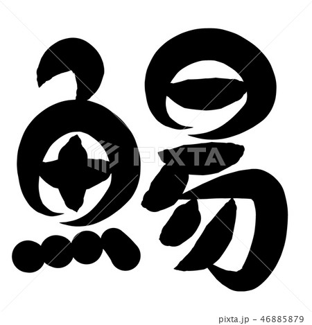 魚編 漢字 筆文字 するめのイラスト素材