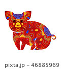 Chinese New Year pig 46885969