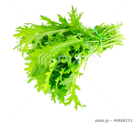 Green leaves of Japanese cabbage mizun Green leaves of Japanese cabbage mizun 46886231