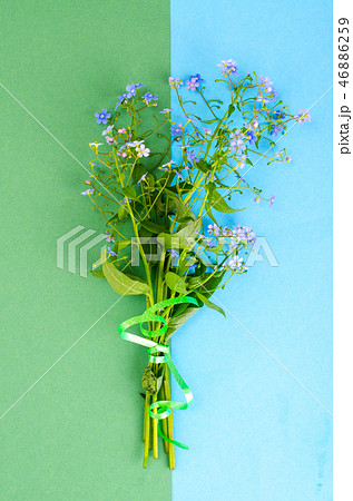 Small bouquet with blue flowers 46886259