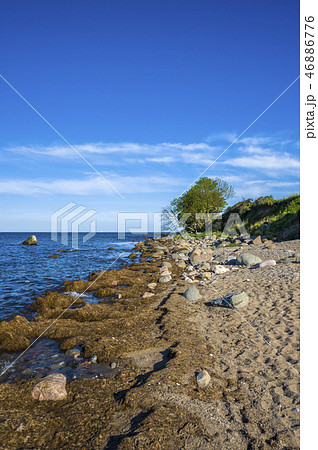 Steep coast in Staberhuk 46886776