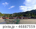 安芸の宮島厳島神社 46887559