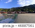 安芸の宮島厳島神社 46887561