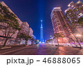 福岡タワーの真正面 46888065