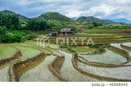 Terraced rice fields on rain season in Vietnam 46888940
