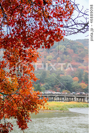 紅葉に時雨、嵐山渡月橋遠景 紅葉に時雨、嵐山渡月橋遠景 46889098