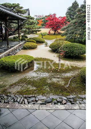 紅葉の鹿王院、枯山水庭園 46889122