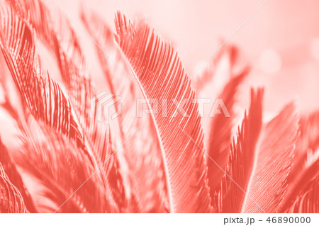 hemp palm tree leaves in living coral color hemp palm tree leaves in living coral color 46890000