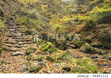 紅葉の御岳山　ロックガーデン 46891112
