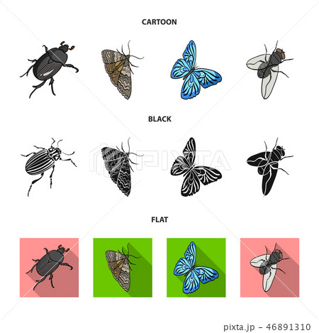 Arthropods insect beetle, moth, butterfly, fly. Insects set collection icons in cartoon,black,flat 46891310