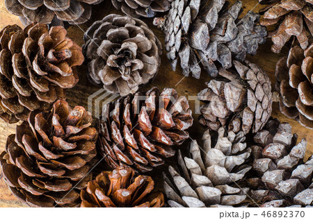 Brown pine and cedar cones on wooden background 46892370