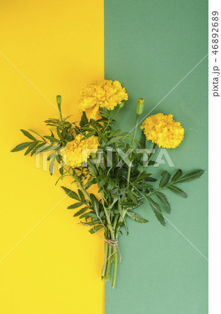 Garden yellow flowers of Tagetes on bright Garden yellow flowers of Tagetes on bright 46892689