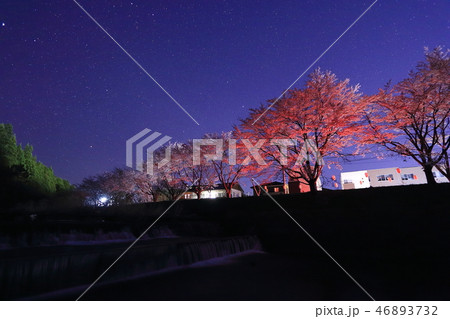 気仙沼神山川の夜桜 46893732