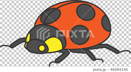 Ladybug 46894140