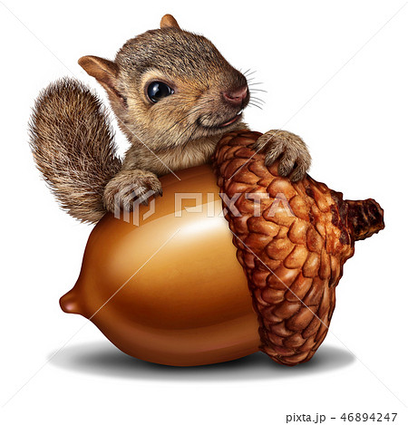 Funny Squirrel holding a Giant Acorn - Stock Illustration [46894247] - PIXTA