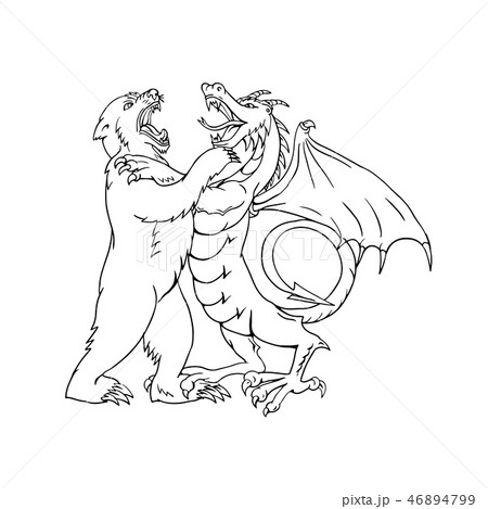 Bear Fighting Chinese Dragon Drawing Bear Fighting Chinese Dragon Drawing 46894799