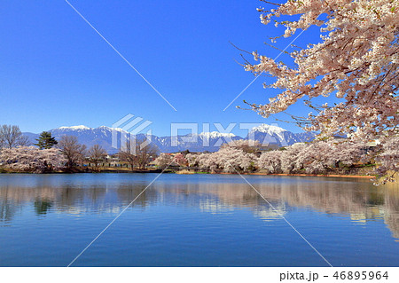 山梨県北杜市の長坂湖の桜と残雪の南アルプス 山梨県北杜市の長坂湖の桜と残雪の南アルプス 46895964