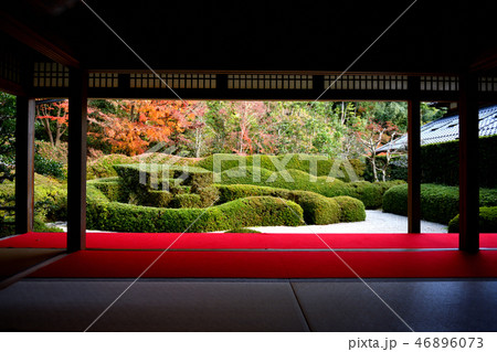 大池寺紅葉2018 46896073