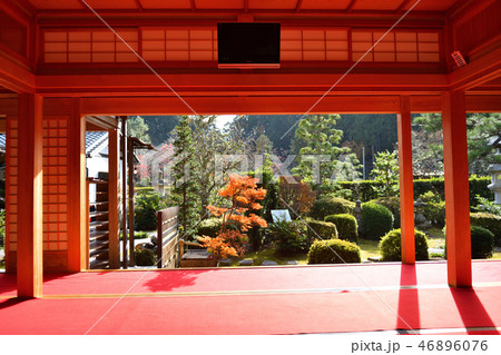 大池寺紅葉2018 46896076