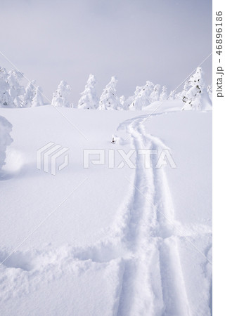 雪山のスキー痕 46896186