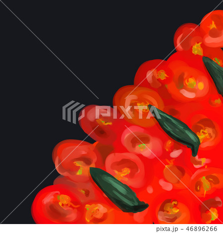 バジルとトマト　（ピザ/ピッツァの具材） 46896266