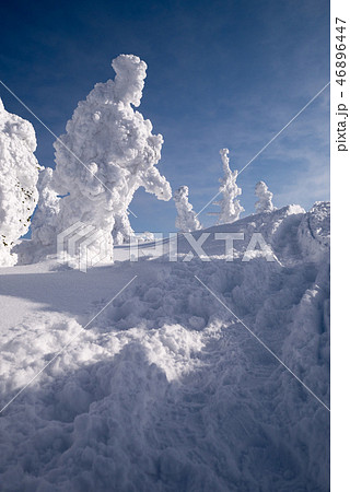 樹氷 46896447